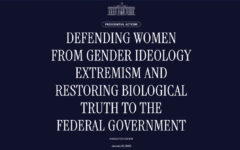 EO-gender-govt